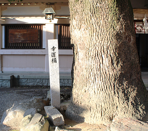 幸福の木