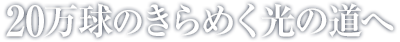 15万球のきらめく光の道へ