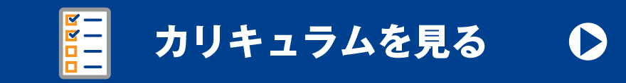 カリキュラムを見る